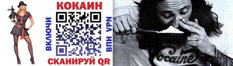 наркотики  Камышлов  COCAIN FishScale 