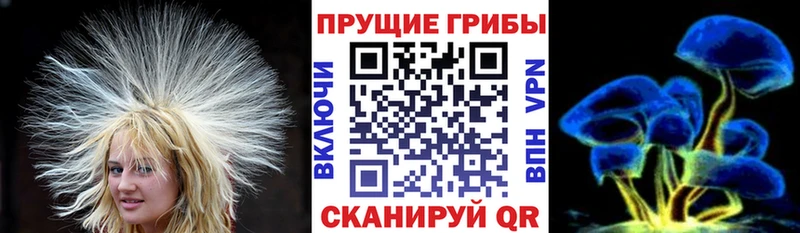 Галлюциногенные грибы Cubensis  где можно купить наркотик  Камышлов 